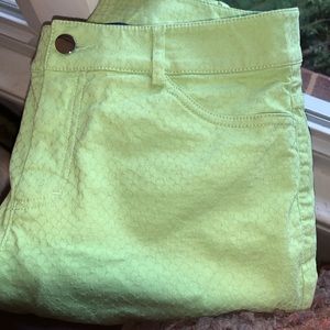 Doncaster Green Pique Straight Leg Pants / Jeans